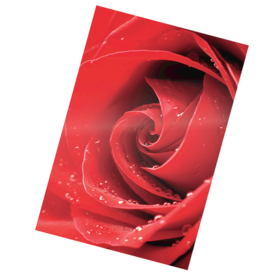 Glossy Pouches - 5mil, Photo, 25 pack__Photo red 2 LF.png